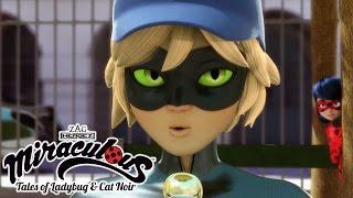 Miraculous Ladybug   Mr. Pigeon   Ladybug and Cat Noir  Animation