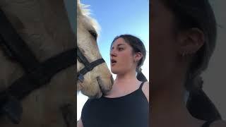 Lucky Horse