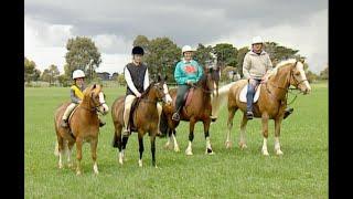 Welsh Mountain Ponies and Cobs Road Test. Welsh Pony & Cobs. Kids pony.