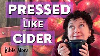 Pressure Brings Forth Cider . . . AND Christlike Character    Kids Object Lesson    BIBLE MOM