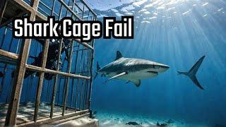 Shark Encounter When Cage Diving Gone Wrong