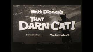 That Darn Cat Walt 1965 Walt Disney Trailer TV Spot in High Definition 16mm Hayley Mills Dean Jones