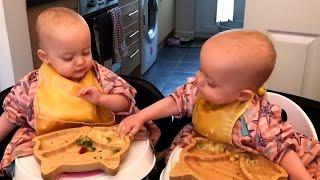 Funniest Battles of Twin Babies Funny Babies Compilation