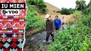 Iu Mien Ethnic Journey Exploring My Rubber Tree Farming Traditions