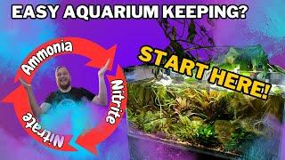 The Nitrogen Cycle The most important aquarium info