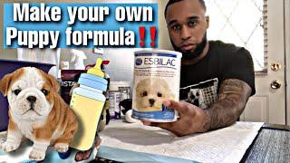 How to make your own puppy formula #BreedersHacks ‼️