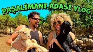 PAŞALİMANI ADASI VLOG