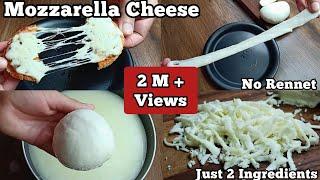 How to Make Mozzarella Cheese Without RennetJust 2 Ingredients Recipe