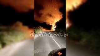 LamiaReport.gr Πυρκαγιά δίπλα στο γήπεδο Καμένων Βούρλων