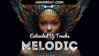 junoBeat MELODIC 2023-06-28