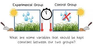 The Scientific Method Part 3 Setting up an Experiment