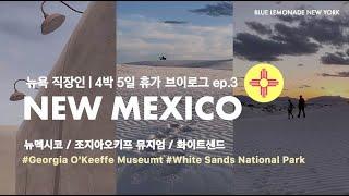 NEW MEXICO VLOG  뉴욕직장인 휴가 브이로그 ep 3 _New Mexico 뉴멕시코 여행_화이트샌드 White Sands  Georgia OKeeffe Museum