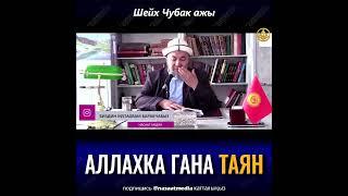 АЛЛАХКА ГАНА ТАЯН. ШЕЙХ ЧУБАК АЖЫ ЖАЛИЛОВ