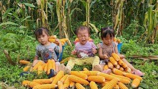 Giang Thi Ty Harvesting the corn garden a simple meal for mother and child