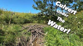 Beaver Dam Removal Next To The Road