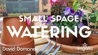 How to water your plants in a small space with David Domoney