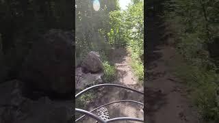 Down Dogger  Michigan Mountain Bike Trails