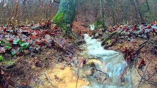 Autumn ambience — Creek sounds flowing water sounds for sleep relax meditation — 10 hours