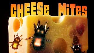 These Mites Give Cheese Its Flavor