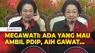 Megawati Ada yang Mau Ambil PDIP Aih Gawat Ungkap Alasan Mau Jadi Ketum Kembali