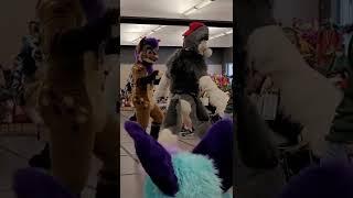 Gale Frostbanes Fursuit Panel Part 2