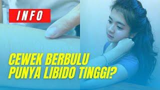 Cewek Berbulu Punya Libido Tinggi Mitos Atau Fakta? ️ SelektaAlami