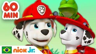 Patrulha Canina  1 hora dos melhores resgates do Marshall  Nick Jr. em Português