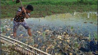 wow funny Fishing strange - ​​​​​wow fishing at holiday in the cambodia part 156