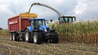 Mais hakselen in Vriezenveen door loonbedrijf de Weer met Claas Jaguar 940 en 10 trekkers 2022