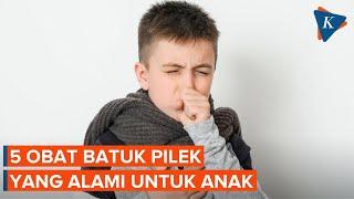 5 Obat Batuk dan Pilek yang Alami untuk Anak Praktis dan Aman