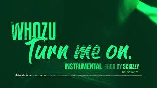 Whozu - Turn me on Instrumental