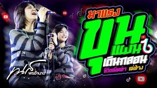 Newขุนแผนเดินกลอน +อัปสราหลงฟ้า +เมียเช่า +คบซ้อน  เนส พรอำนาจ เเสดงสดใหม่ สุดHOT