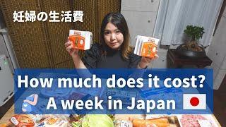 How much does it cost to live in Japan?  1 Week challenge