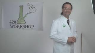 420 Workshop TEST