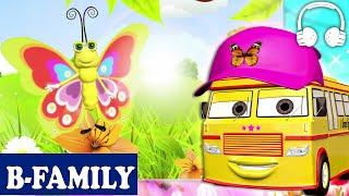 Fly Fly the Butterfly   B-Family Muffin Songs