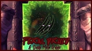 WoW TBC Feral Druid A Quick Meta Guide