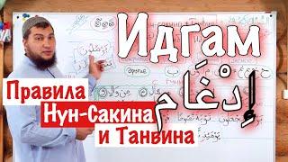 Урок № 8 «Идгам» إِدْغَام Слитное чтение  2-ое правило Нун-Сакина и Танвина