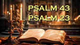 Psalm 43 And Psalm 23 The Powerful Prayers In The Bible - God bless to you