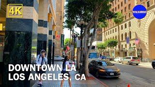 Hello LA    Walking Around Downtown Los Angeles  USA  California  Premium Audio 