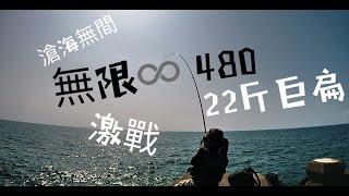 上興釣具 滄海無間 無限480 勇猛對決22斤巨大飛扁  活魚放流 虱目魚放流