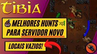 MELHORES LOCAIS DE HUNT EM SERVIDOR NOVO DO TIBIA