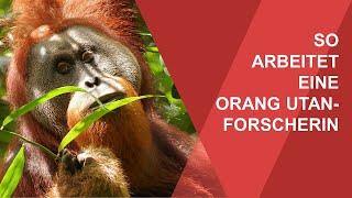 So arbeitet eine Orang Utan-Forscherin