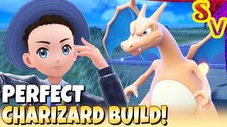 PERFECT CHARIZARD Best Tera Raid Build for Charizard Solar Power Sunny Day Shell Bell