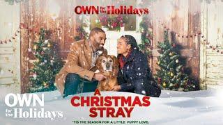 A Christmas Stray  Full Movie  OWN For the Holidays  OWN