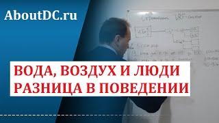 Вода воздух и люди интересные фишки и разница в поведении