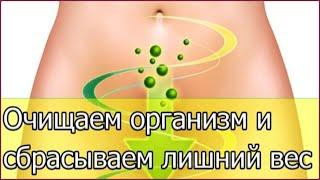 Очищение организма в домашних условиях от шлаков и токсинов.  Эффективно быстро и просто