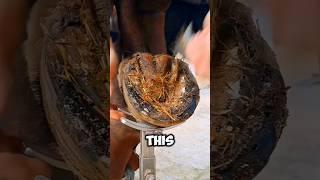 horse #hoof #trimming #asmr #animal #foryou #hoofcare #satisfying