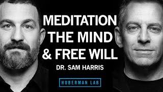Dr. Sam Harris Using Meditation to Focus View Consciousness & Expand Your Mind  Huberman Lab 105