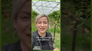 Können Roboter bald unsere Erdbeeren ernten? #einfachgenial #erfindungen  Einfach Genial  MDR