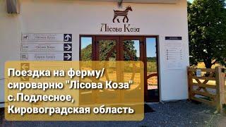 Мото поездка на фермусыроварню Лісова Коза с.Подлесное Кировоградская область